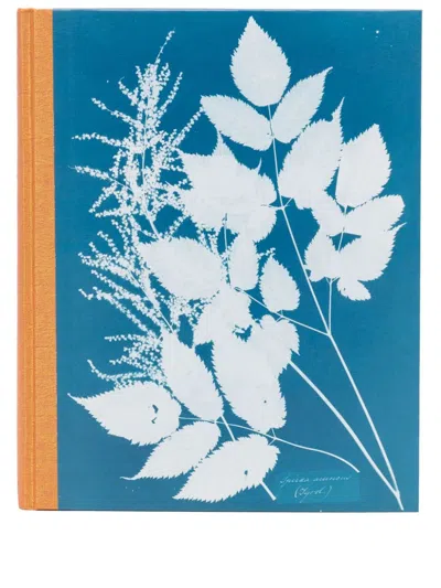 Taschen Anna Atkins Cyanotypes Book In Multi