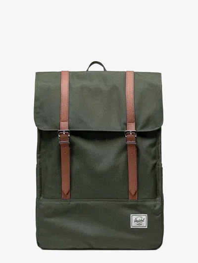 Herschel Survey In Green