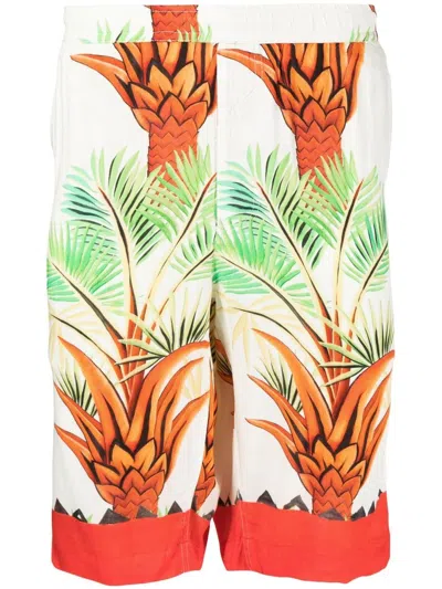 Endless Joy Date Palm Motif-print Bermuda Shorts In White