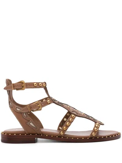 Ash Plaza Leather Sandals In Brown