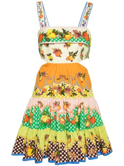 Alemais Lemonis Cut-out Mini Dress In Multicolour