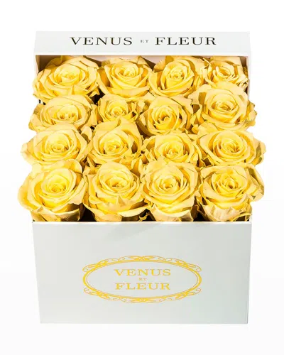 Venus Et Fleur Classic Small Square Rose Box In Champagne
