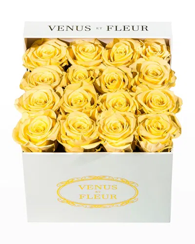 Venus Et Fleur Classic Small Square Rose Box