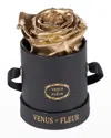 Venus Et Fleur Classic Mini Round Rose Box In Gold