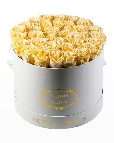 Venus Et Fleur Classic Large Round Rose Box In Champagne