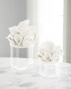 John-richard Collection Ceramic Coral Reef Sculpture Ii In White