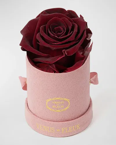 Venus Et Fleur Suede Mini Round Rose Box In Burgundy