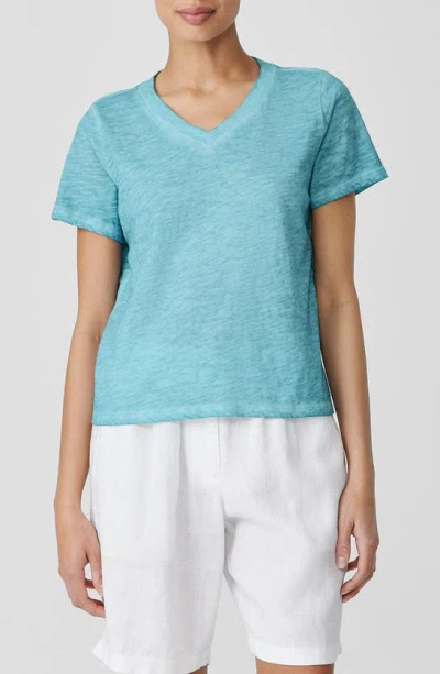 Eileen Fisher V-neck Organic Cotton T-shirt In Seafoam