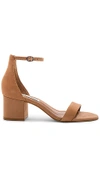 Steve Madden Irenee Ankle Strap Sandal In Tan Nubuck