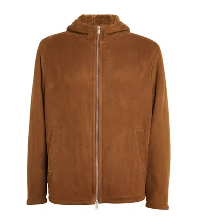 Lardini Hooded Shearling Jacket In Brown