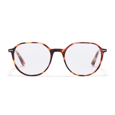 Taylor Morris Eyewear Tm027-c3 In Brown