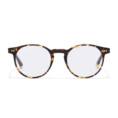 Taylor Morris Eyewear Tm013-c4 In Multi