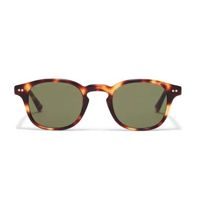 Taylor Morris Eyewear Eagle In Green