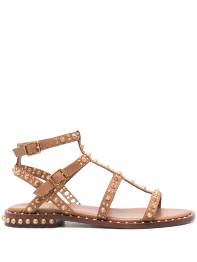 Ash Pepsy Flat Sandals In Brown