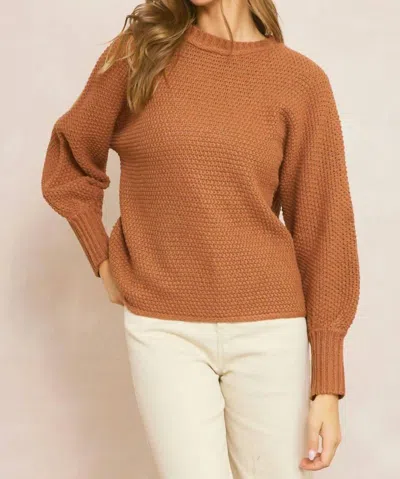 Entro Knit Crewneck Sweater In Rust In Multi