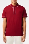 Lacoste Regular Fit Tipped Piqué Polo In Ixx Ora
