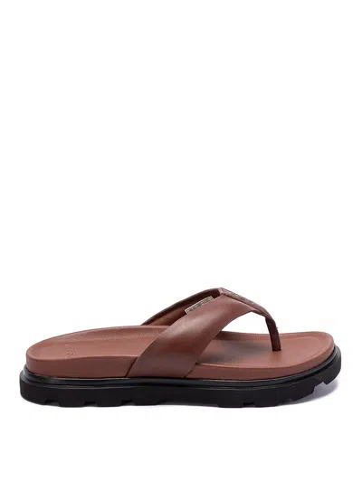 Ugg Capitola Flip Sandals In Brown