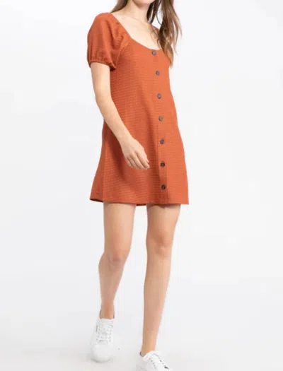 Sanctuary Button Up Knit Dress In Brown