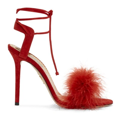 Charlotte Olympia Salsa Feather-embellished Suede Sandals In Red