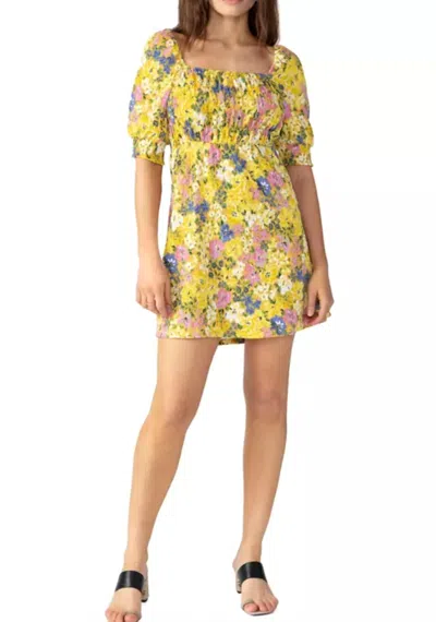 Sanctuary Easy Smock Dress In Sweet And Sour In Multi