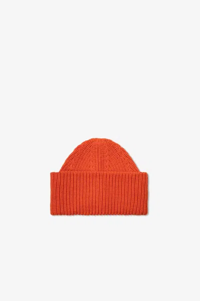 Arctic Fox & Co. Merino Wool Beanie In Coral In Pink