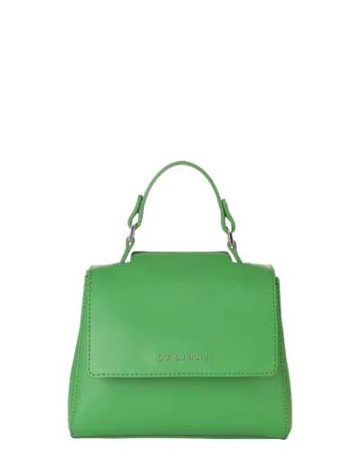 Orciani Bags.. Mint Green
