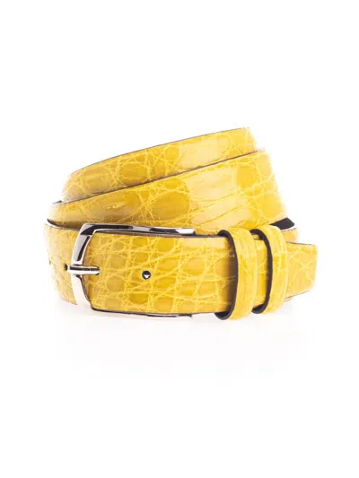 D'amico Belts In Yellow
