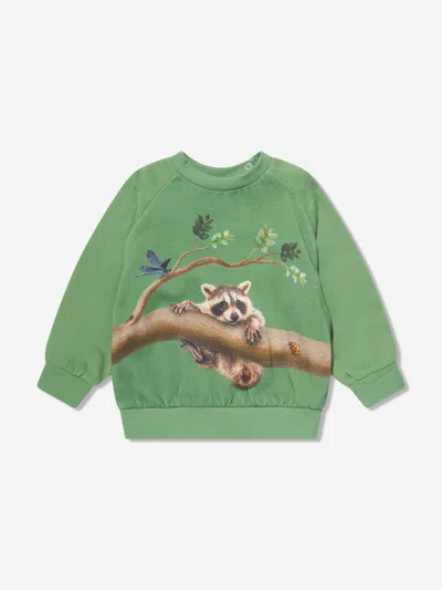 Molo Green Sweatshirt For Baby Kids With Animals