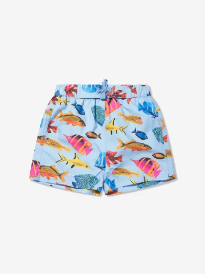 Rachel Riley Baby Boys Tropical Fish Swim Shorts In Multicoloured