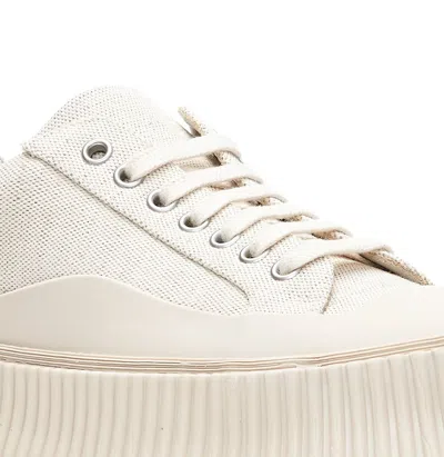 Jil Sander Ivory Canvas Sneakers In Cream