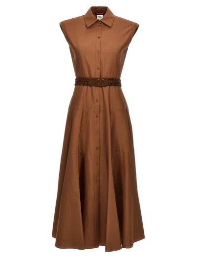 Max Mara Cotton Shirt Dress In Tobacco