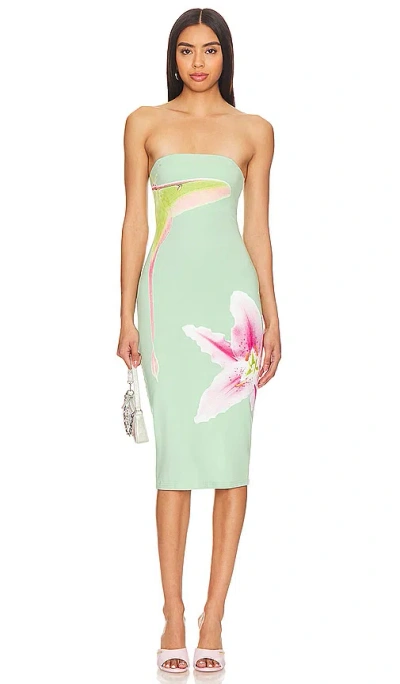 Tyler Mcgillivary Luna Moth Dress