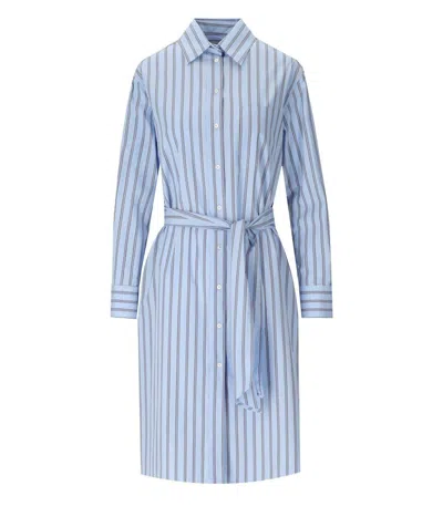 Weekend Max Mara Womens Light Blue Edipo Striped Boxy-fit Cotton-poplin Midi Dress