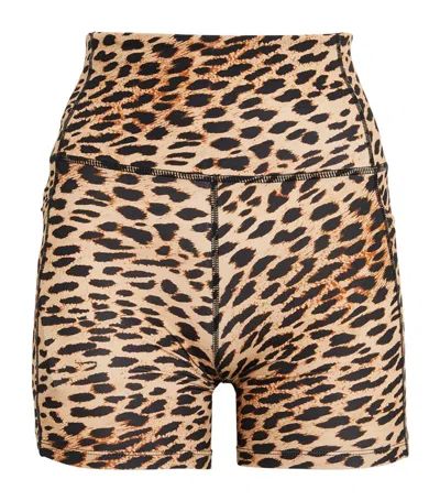 P.e Nation Leopard Print Recalibrate Shorts In Multi