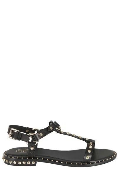 Ash Patsy Studded Sandals In Black