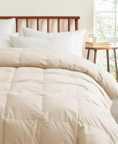 Unikome All Season 300 Thread Count Cotton Goose Down Fiber Comforter, California King In Off-white