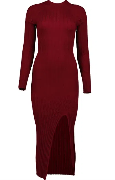 Bishop + Young Chloe Sweater Dress In Crimson In Burgundy