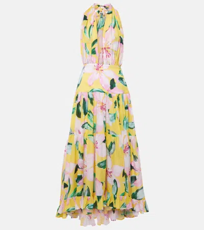 Alexandra Miro Marie Rose Floral Cotton Maxi Dress In Multi