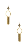 VANESSA MOONEY Vanessa Mooney Hailey Hoop Earrings in Metallic Gold.,E429