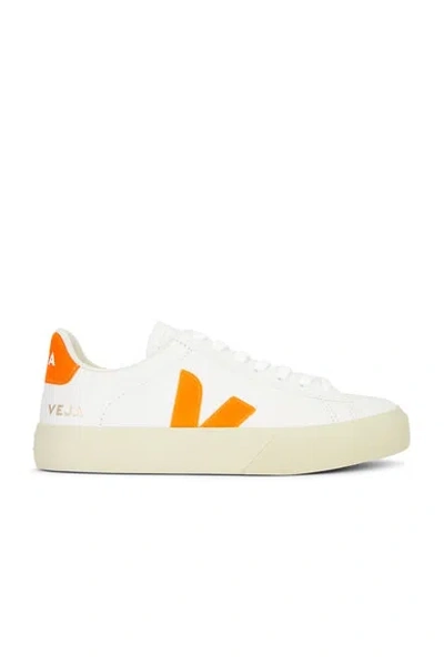 Veja Campo Leather Trainers In White