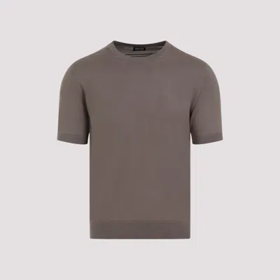 Zegna T-shirt In Brown