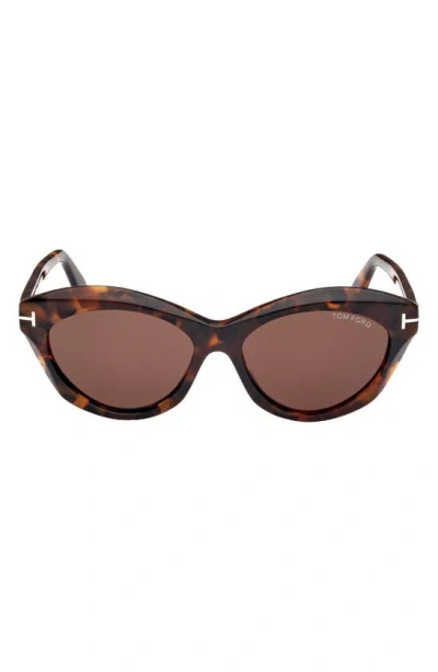 Tom Ford Toni 55mm Oval Sunglasses In Shiny Dark Havana / Brown