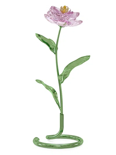Swarovski Florere Peony Crystal Figurine In Pink