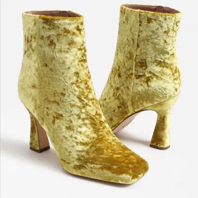 Circus By Sam Edelman Emma Boot In Yellow