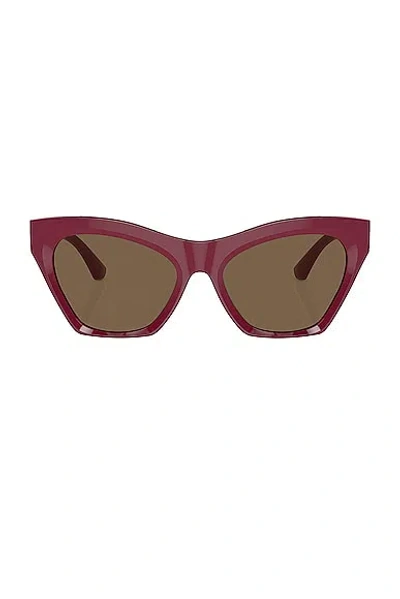 Burberry Cat Eye Sunglasses In Bordeaux