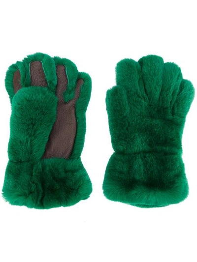Marni Rabbit Fur Gloves In Green