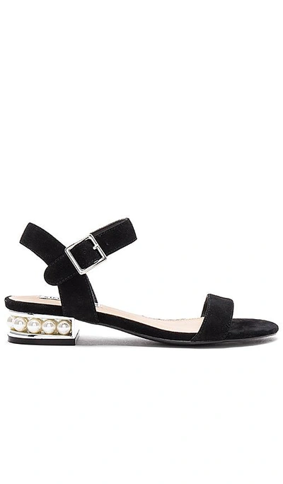 Steve Madden Embellished Sandal In Black Suede