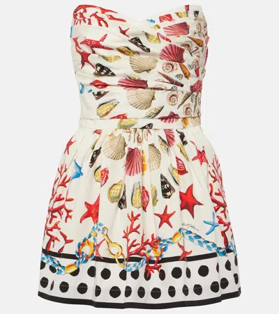 Dolce & Gabbana Capri Printed Cotton-blend Minidress In Multi