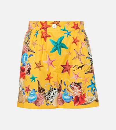 Dolce & Gabbana Capri Printed High-rise Cotton Shorts In Yellow