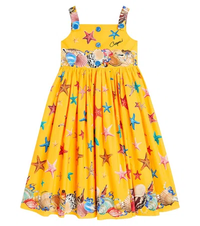 Dolce & Gabbana Kids' Capri Printed Cotton Poplin Dress In Yellow